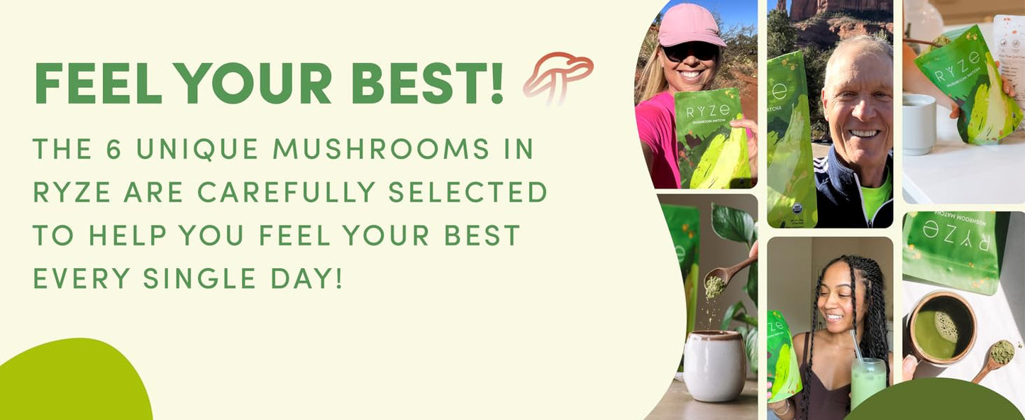 Ryze Mushroom Matcha (Pack of 2)