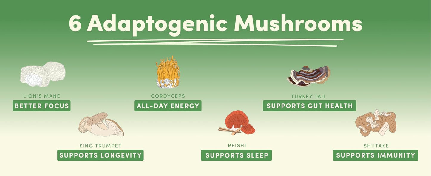 Ryze Mushroom Matcha (Pack of 2)