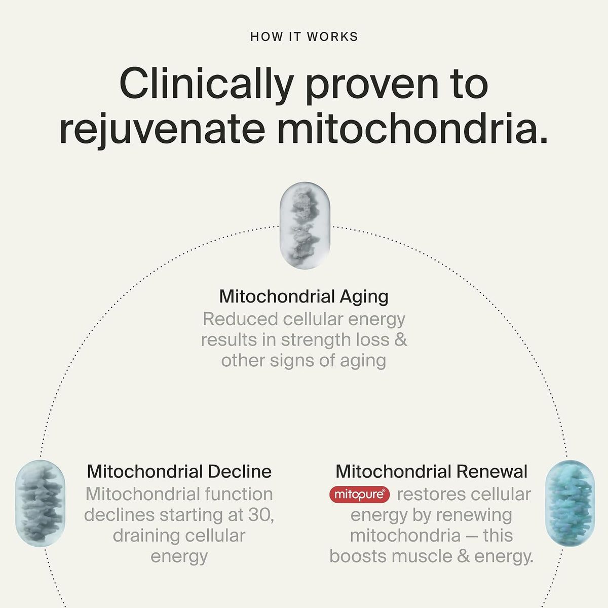 Timeline Mitopure Urolithin A Supplement – 60 Softgels