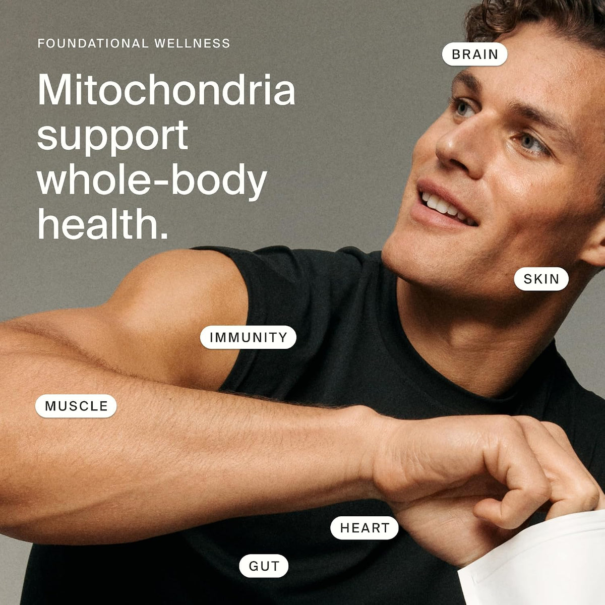 Timeline Mitopure Urolithin A Supplement – 60 Softgels