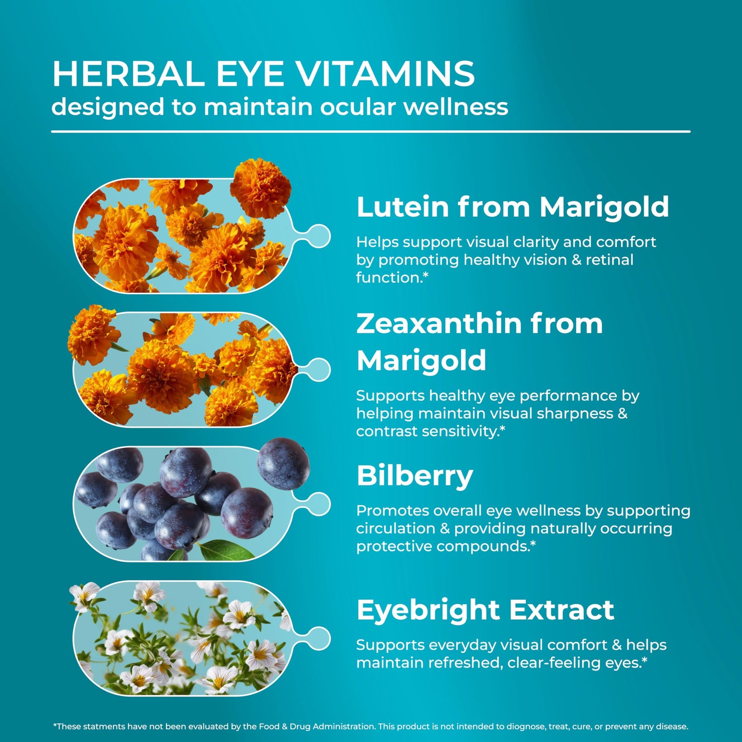 PUREHEALTH RESEARCH Complete Vision Formula - Eye Vitamins & Mineral Supplement - Lutein and Zeaxanthin Supplements for Men & Women - with Eyebright Herb, Zinc,