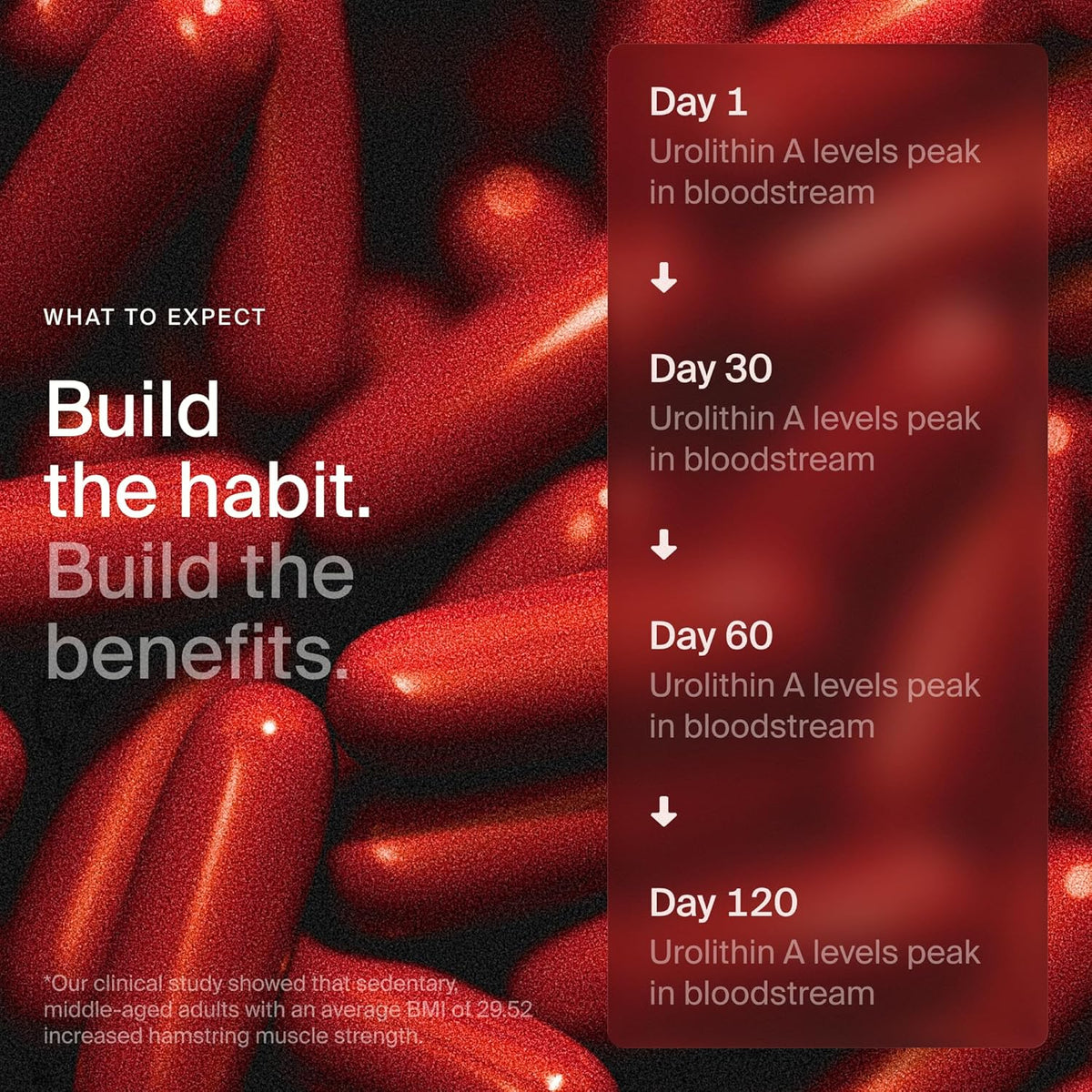 Timeline Mitopure Urolithin A Supplement – 60 Softgels