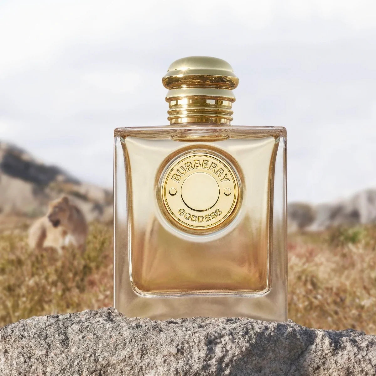 Burberry Goddess EDP for women - 3.3 oz